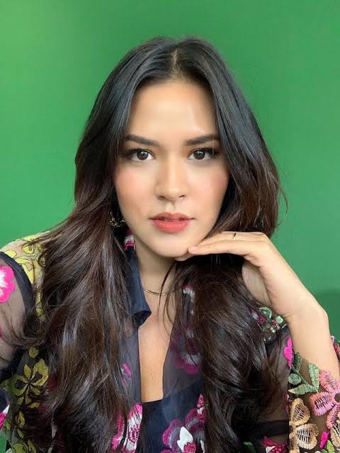 Pemintaan Raisa Jokowi Bolehkan Konser Musik Di Indonesia